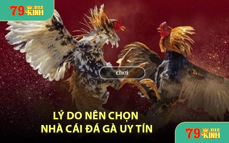 Lý Do Nên Chọn Nhà Cái Đá Gà Uy Tín