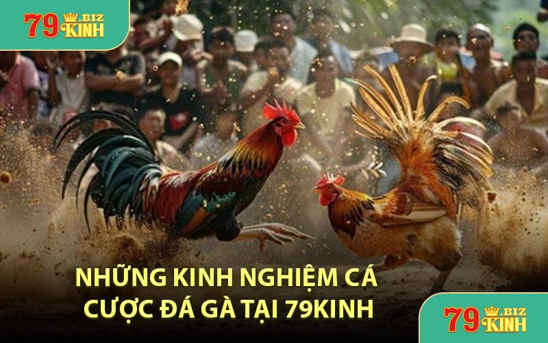 Những Kinh Nghiệm Cá Cược Đá Gà Tại 79KINH